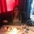 Angela Huhn's profile image