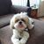 Donna Hensley's profile image