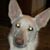 Gail Mountz's profile image
