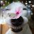 Chiquita Mathews's profile image