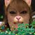 Jennifer Scull Smith's profile image