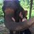Taryn Elizabeth Jelle's profile image
