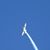 Randy Ferber's profile image