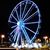 Kathy Phillips's profile image