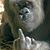 Chris Lee Kiser's profile image