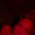 Stacey Combs's profile image