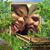 Agustin Espino-González's profile image