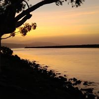 Louise Santo's profile image