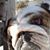 R. L. Resinger's profile image