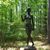Carol DiCenso's profile image
