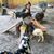 Karine Belisle's profile image