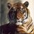 Jeanie Hale's profile image
