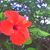 Joy Harris's profile image