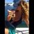 Crystal Lujan's profile image