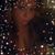 Stacy Montgomery Dukovic's profile image