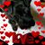 Marilyn Nordahl's profile image
