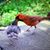 Joe Fisse's profile image