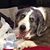 Patti Hill's profile image