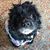 Joy Gregory's profile image