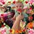 Luise Barton's profile image