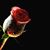 Linday Grey's profile image