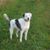 Amy Oconnell's profile image