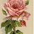Rosemarie Emmi's profile image