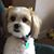 Patti Loosen's profile image