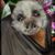 Teri L. Beck's profile image