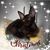 Kelly Crowther Jordan's profile image