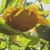 Rebecca Howell's profile image
