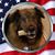 Hawg Hvn's profile image