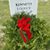 Karen Gunter Lee's profile image