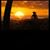 Waldo Contreras's profile image