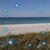 Sherri Phillips's profile image