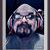 Stephen Popichak's profile image