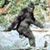 John Willis's profile image