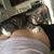 Ezat Luba's profile image