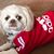 Barb Cundiff Tatara's profile image
