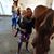 Linda Herendeen's profile image