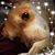 Bryce Boyer's profile image