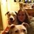 Donna Applegate's profile image