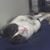 Jessica Violett Rodzvilla's profile image