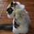 Denise L. Grande's profile image