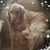 Izzy Goodell Schlotterback's profile image