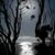 Theresa Huff's profile image