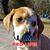 Sara Garrett Cox's profile image