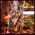 Erin Tuttle's profile image