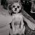 TJ Smith's profile image