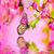 Hann Debbie's profile image